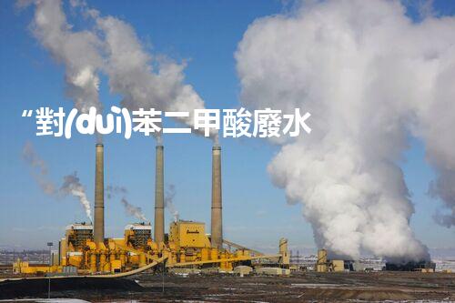 “對(duì)苯二甲酸廢水處理，綠色創(chuàng)新引領(lǐng)環(huán)保新篇章”
